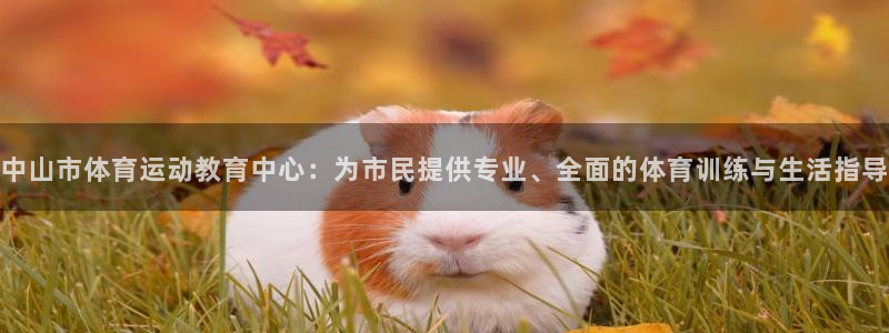 J9官方正版app娱乐是那个系列的台子:中山市体育运动教育中