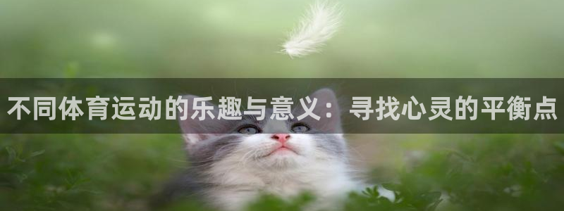 J9官方正版app娱乐是那个系列的台子:不同体育运动的乐趣与